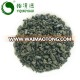 finest China green tea gunpowder 3505AAA