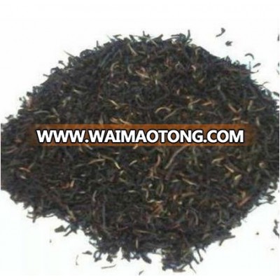 Hot Ceylon Black Tea FBOPF Ex. Sp.